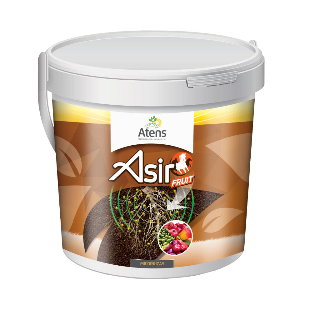 ASIR FRUIT