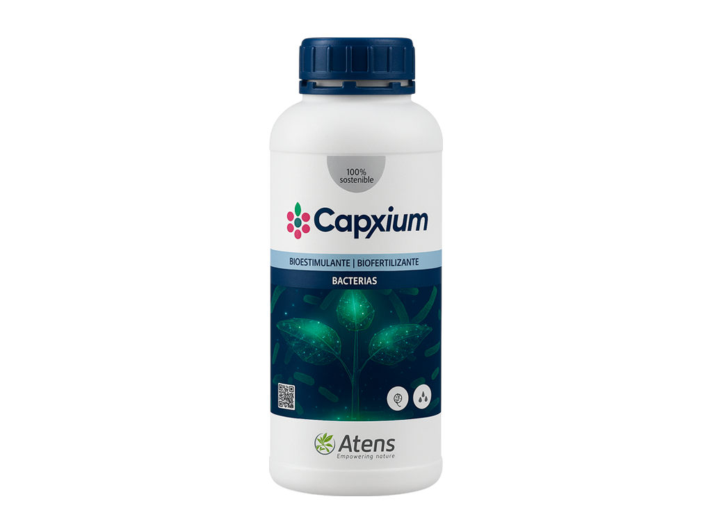 CAPXIUM