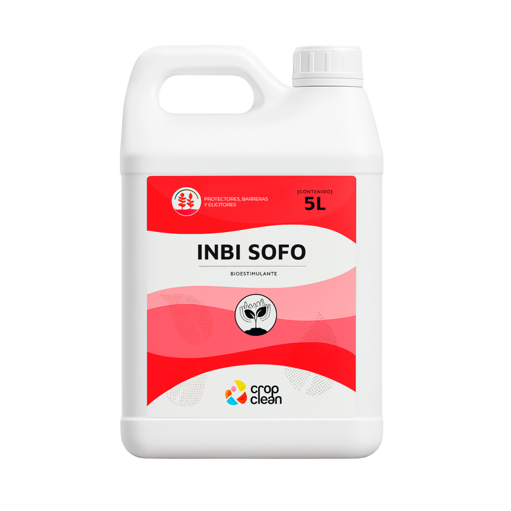 INBI SOFO
