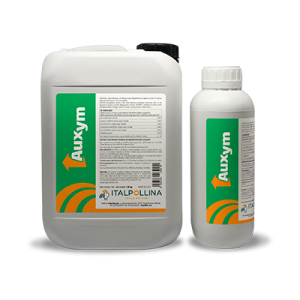 AUXYM