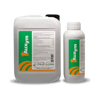 AUXYM
