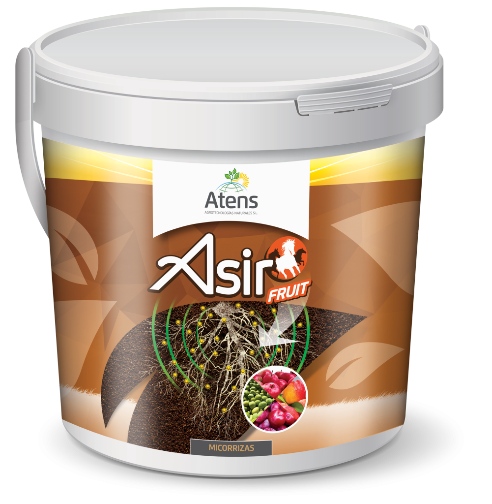 ASIR FRUIT