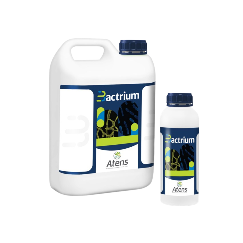 BACTRIUM